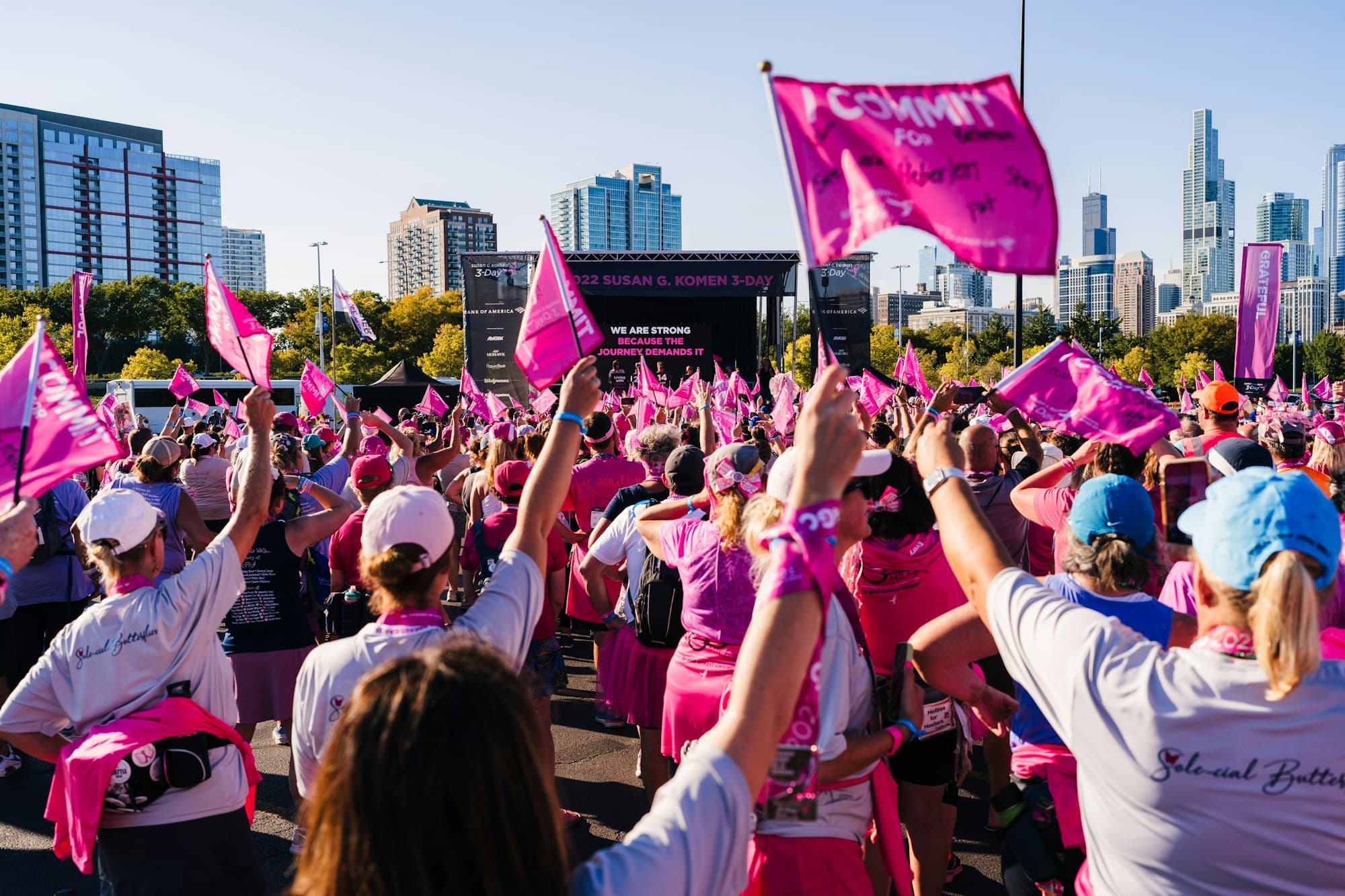Crowd at a breast cancer awareness walk waving pink flags